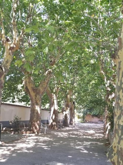 Apartament Toulon Est La Valette Studio 35M2 Dominant Parking Proche Mer Zewnętrze zdjęcie