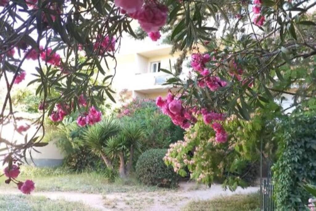 Apartament Toulon Est La Valette Studio 35M2 Dominant Parking Proche Mer Zewnętrze zdjęcie